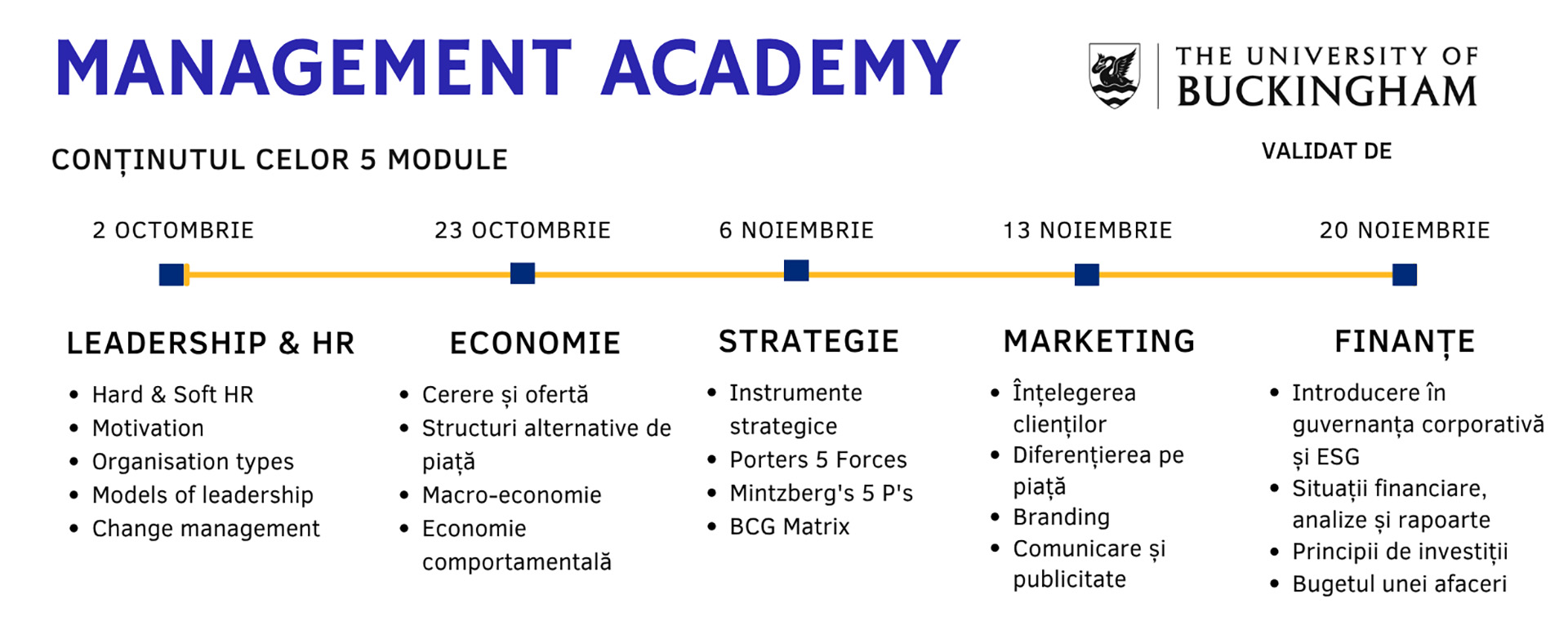 Continut 5 module EMBA